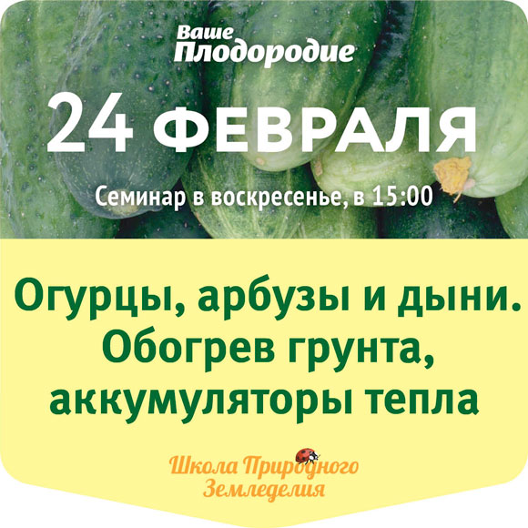 Уфа Магазин Ваше Плодородие Каталог Товаров Цены
