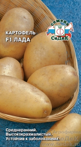 картофель ЛАДА, Седек