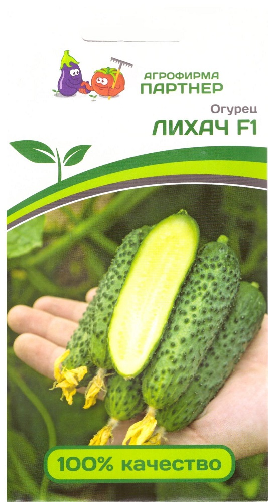 огурец ЛИХАЧ, Партнер