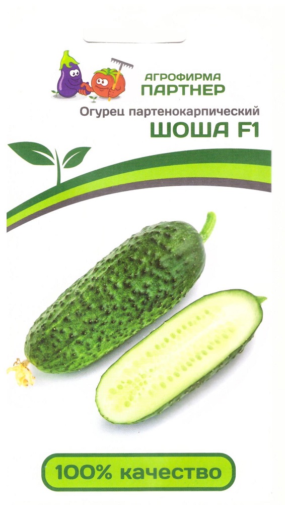огурец ШОША, Партнер