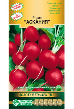редис АСКАНИЯ, Евросемена