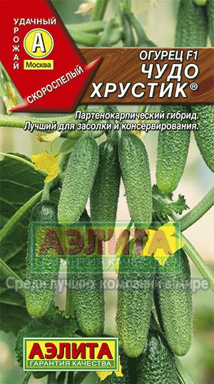 огурец ЧУДО ХРУСТИК, Аэлита