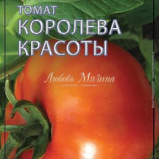 Королевская красота томат отзывы Королевская красота томат отзывы