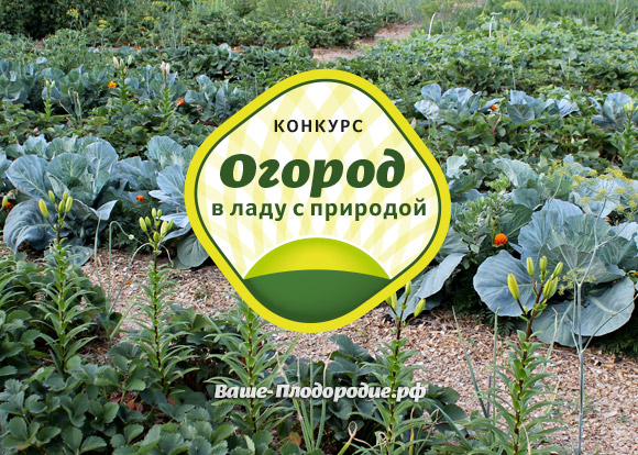 Ваше плодородие конкурс Ваше плодородие конкурс