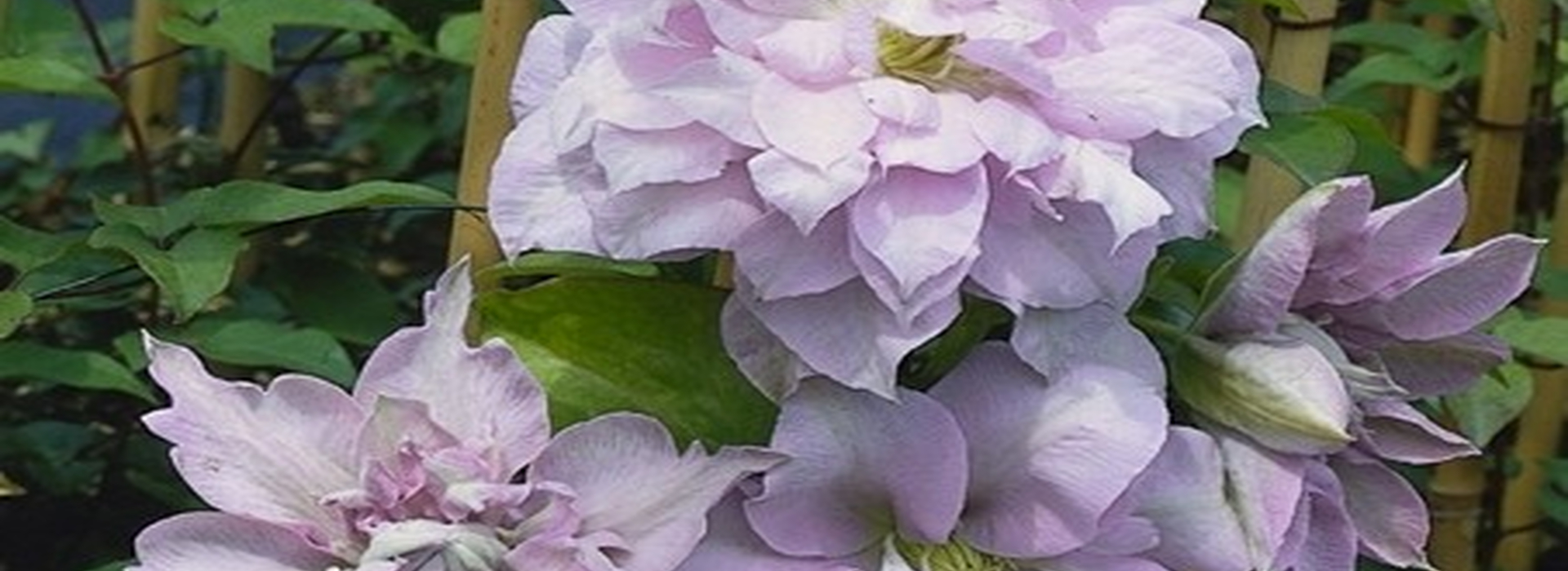 main_image_blog