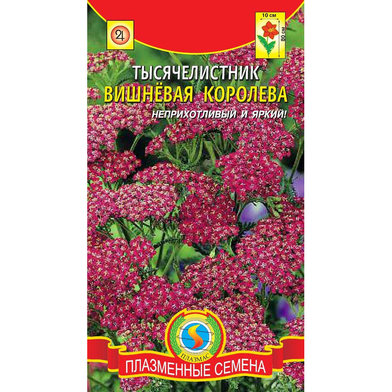 Плазменные Семена Магазины