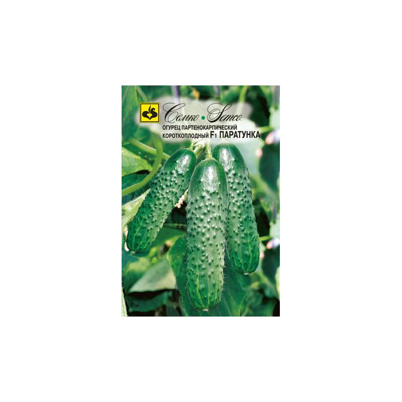 Паратунка Огурцы Купить Семена
