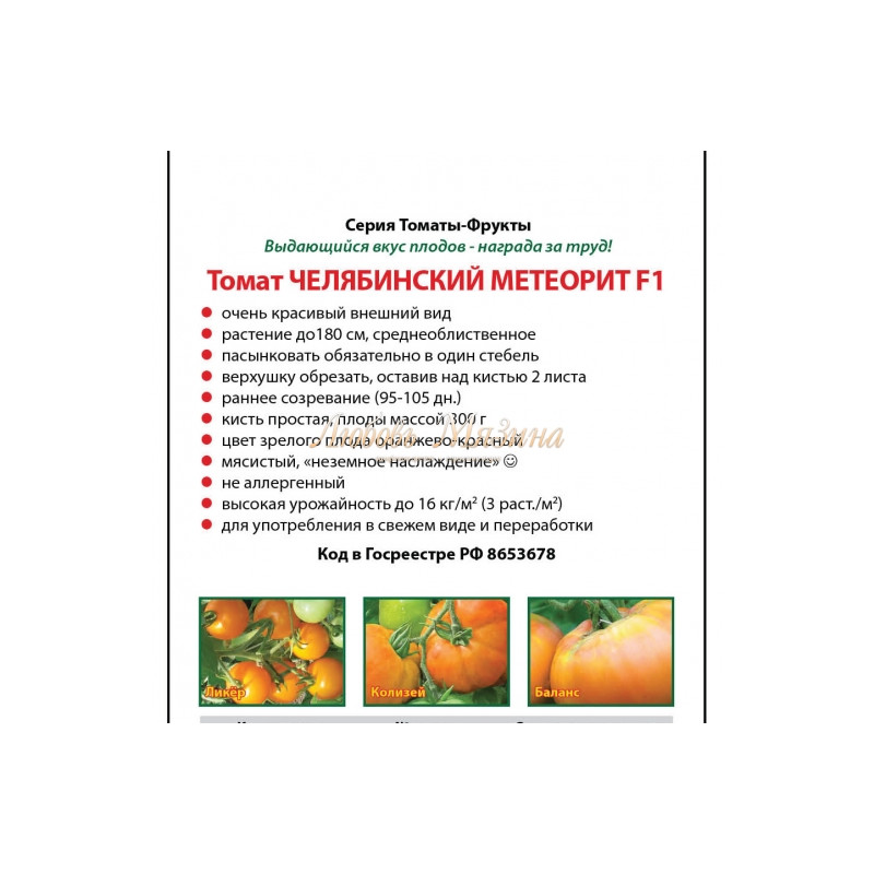 томат челябинский метеорит характеристика фото. томаты челябинский метеорит описание. томат челябинский метеорит. семена томат челябинский метеорит 20шт listok профи *10. томат челябинский метеорит уральский дачник.