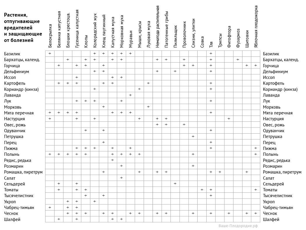 Баковые смеси таблица совместимости препаратов