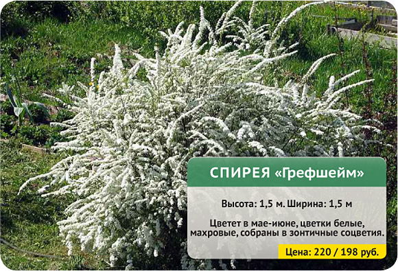 Погода саратов на месяц июль 2016